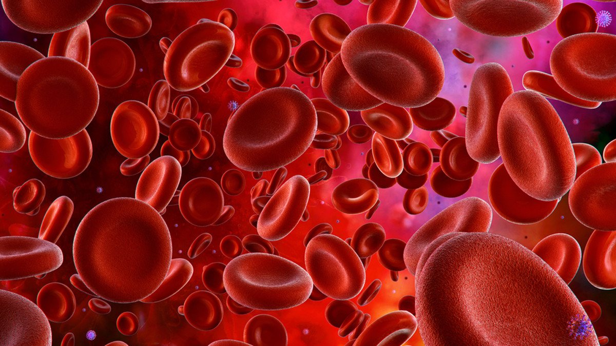 Understanding Anemia: Causes, Symptoms, and Prevention