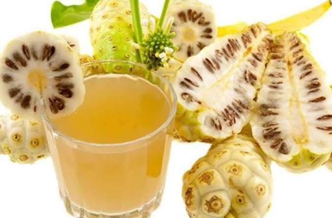 Noni: Uses and Health Benefits from Fruit, Leaves, to Tree Bark